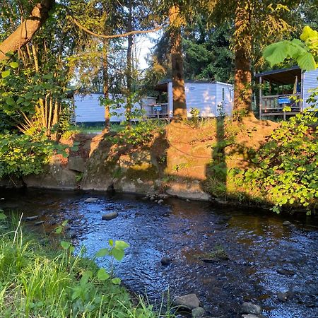 S-Chalet Camping Mit Comfort Im Schwarzwald Steinach  外观 照片