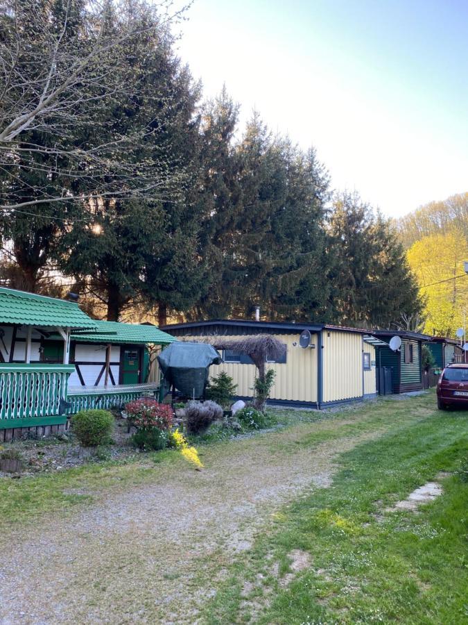S-Chalet Camping Mit Comfort Im Schwarzwald Steinach  外观 照片
